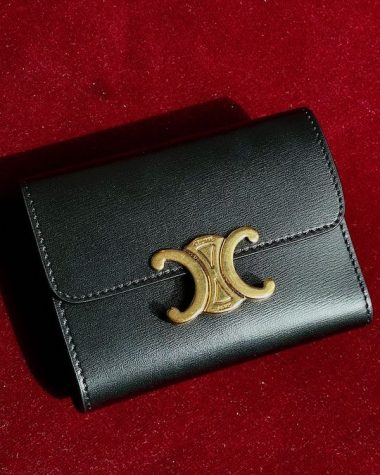 Celine Triomphe Compact Wallet with Coin review IMG_1716